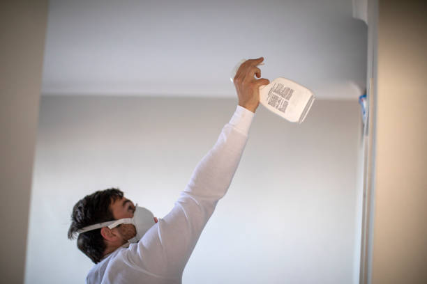 Best Crawl Space Mold Removal  in Strongsville, OH
