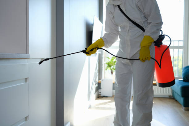 Best Commercial Mold Removal  in Strongsville, OH